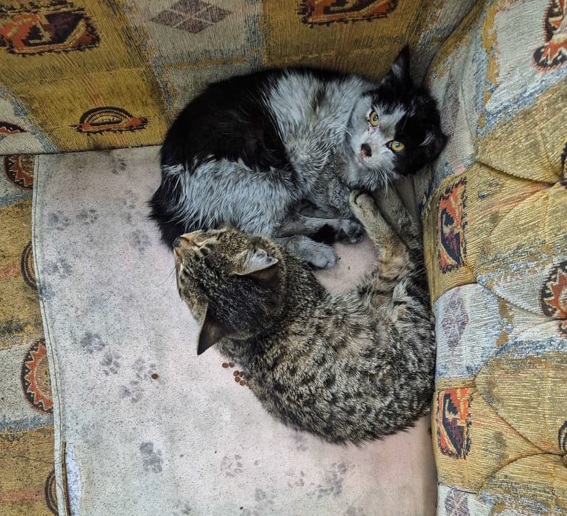 Teherán se ponořil do tmy, z nebe prší ropný déšť. Zdroj: X