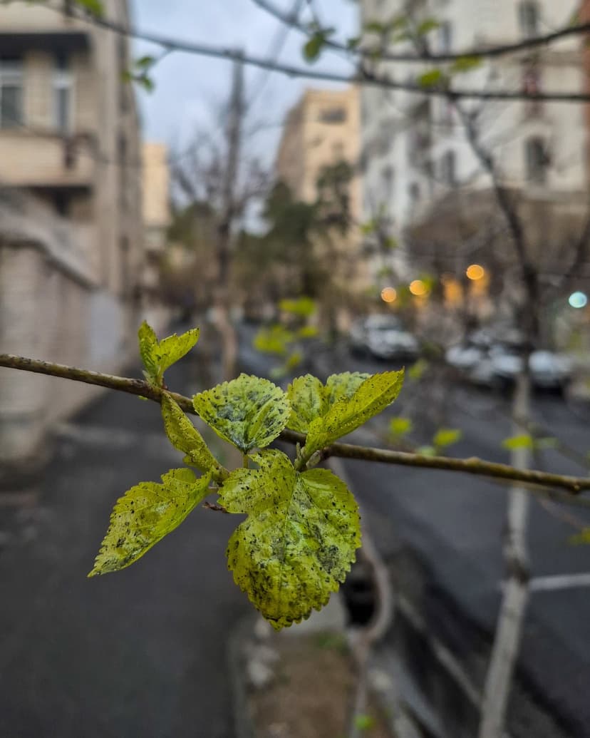 Teherán se ponořil do tmy, z nebe prší ropný déšť. Zdroj: X